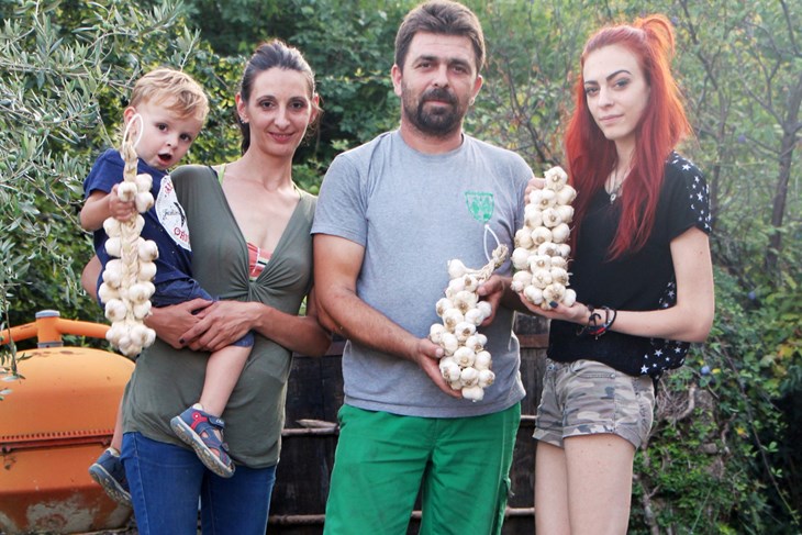 Vrijedna obitelj Antonac želi nastaviti proizvodnju češnjaka